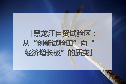 黑龙江自贸试验区：从“创新试验田”向“经济增长极”的质变