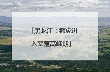 黑龙江：狮虎进入繁殖高峰期