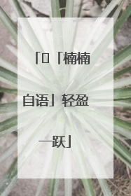 ﻿「楠楠自语」轻盈一跃