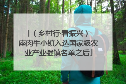 （乡村行·看振兴）一座肉牛小镇入选国家级农业产业强镇名单之后