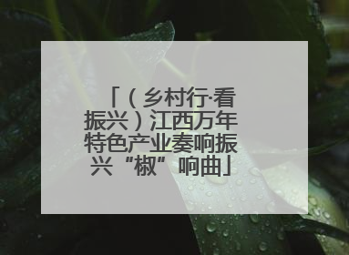 （乡村行·看振兴）江西万年特色产业奏响振兴“椒”响曲