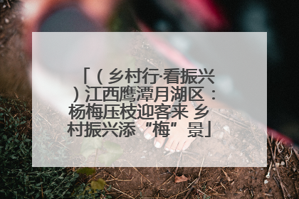 （乡村行·看振兴）江西鹰潭月湖区：杨梅压枝迎客来 乡村振兴添“梅”景