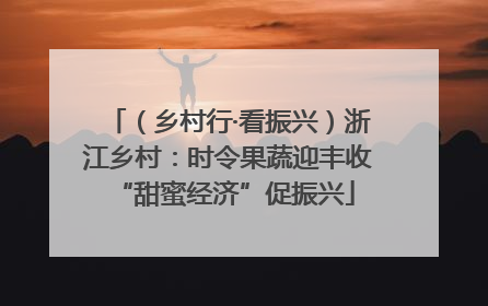 （乡村行·看振兴）浙江乡村：时令果蔬迎丰收 “甜蜜经济”促振兴