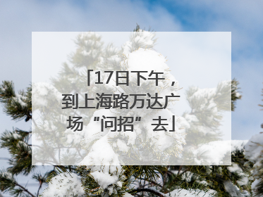 17日下午，到上海路万达广场“问招”去