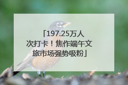 197.25万人次打卡！焦作端午文旅市场强势吸粉