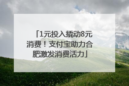 1元投入撬动8元消费！支付宝助力合肥激发消费活力