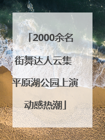 2000余名街舞达人云集 平原湖公园上演动感热潮