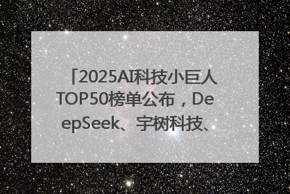 2025AI科技小巨人TOP50榜单公布，DeepSeek、宇树科技、蘑菇车联等企业荣誉上榜