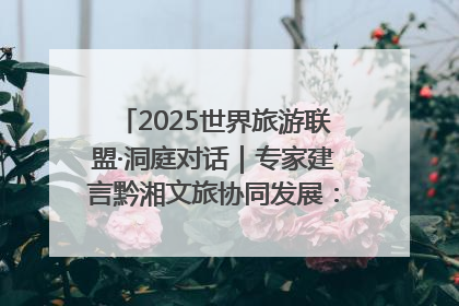 2025世界旅游联盟·洞庭对话｜专家建言黔湘文旅协同发展：聚焦产品稀缺性 深化区域经验共享