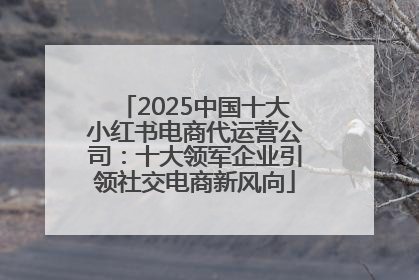 2025中国十大小红书电商代运营公司：十大领军企业引领社交电商新风向