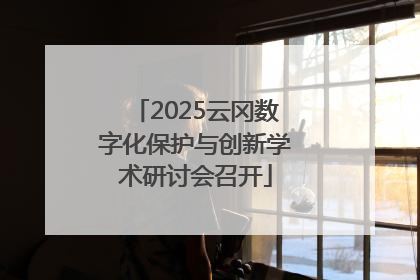 2025云冈数字化保护与创新学术研讨会召开