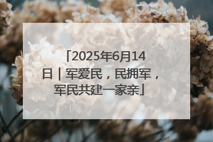 2025年6月14日｜军爱民，民拥军，军民共建一家亲