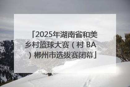 2025年湖南省和美乡村篮球大赛（村 BA）郴州市选拔赛闭幕