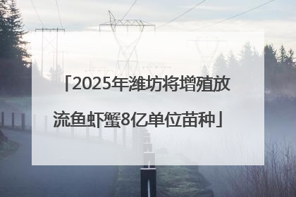 2025年潍坊将增殖放流鱼虾蟹8亿单位苗种