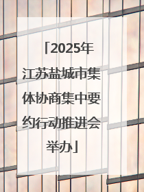 2025年江苏盐城市集体协商集中要约行动推进会举办