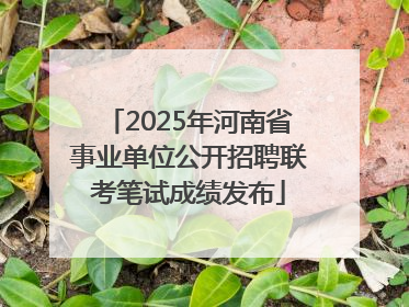 2025年河南省事业单位公开招聘联考笔试成绩发布