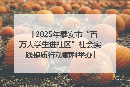 2025年泰安市“百万大学生进社区”社会实践提质行动顺利举办