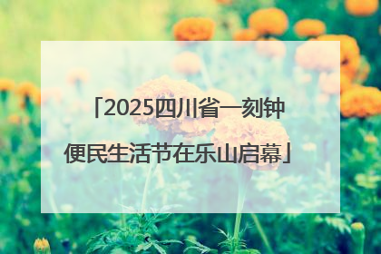 2025四川省一刻钟便民生活节在乐山启幕