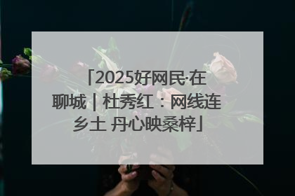 2025好网民·在聊城｜杜秀红：网线连乡土 丹心映桑梓