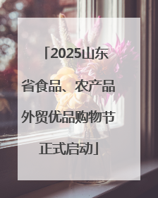 2025山东省食品、农产品外贸优品购物节正式启动