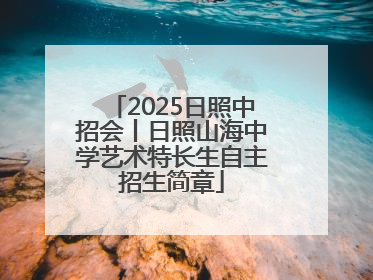 2025日照中招会丨日照山海中学艺术特长生自主招生简章