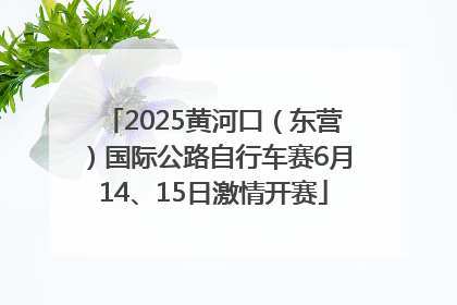 2025黄河口（东营）国际公路自行车赛6月14、15日激情开赛