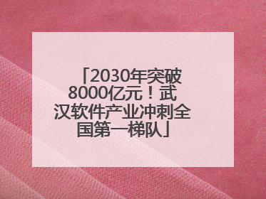 2030年突破8000亿元！武汉软件产业冲刺全国第一梯队