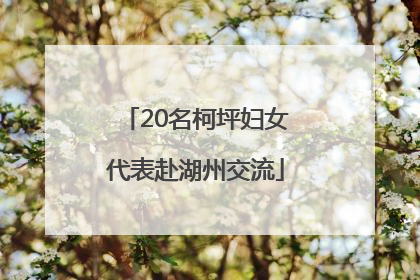 20名柯坪妇女代表赴湖州交流