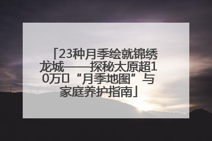 23种月季绘就锦绣龙城——探秘太原超10万㎡“月季地图”与家庭养护指南