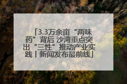 3.3万余亩“两味药”背后 沙湾重点突出“三性”推动产业实践丨新闻发布最前线