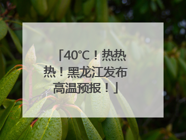40℃！热热热！黑龙江发布高温预报！