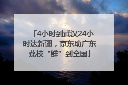 4小时到武汉24小时达新疆，京东助广东荔枝“鲜”到全国