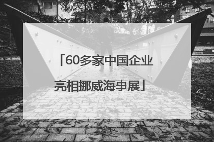 60多家中国企业亮相挪威海事展