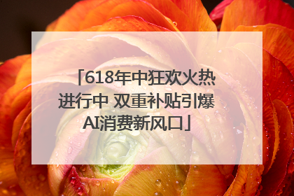 618年中狂欢火热进行中 双重补贴引爆AI消费新风口