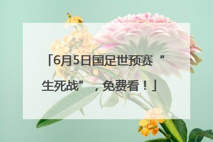 6月5日国足世预赛“生死战”，免费看！