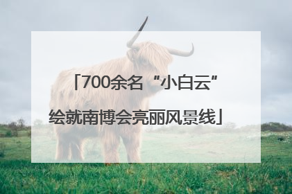 700余名“小白云”绘就南博会亮丽风景线