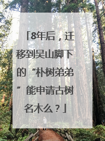 8年后，迁移到吴山脚下的“朴树弟弟”能申请古树名木么？