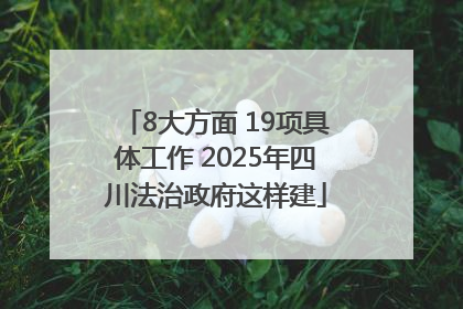 8大方面 19项具体工作 2025年四川法治政府这样建