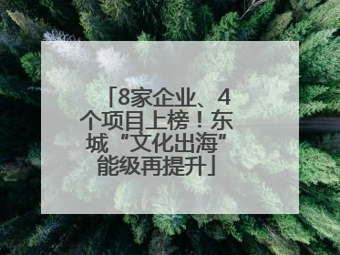 8家企业、4个项目上榜！东城“文化出海”能级再提升