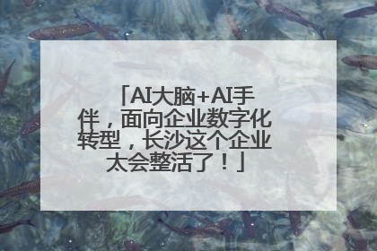 AI大脑+AI手伴，面向企业数字化转型，长沙这个企业太会整活了！
