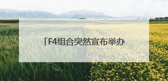 F4组合突然宣布举办演唱会！网友集体炸锅：“可惜杉菜不在了”