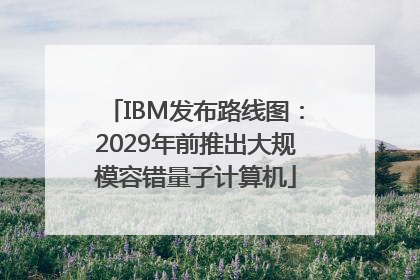 IBM发布路线图：2029年前推出大规模容错量子计算机