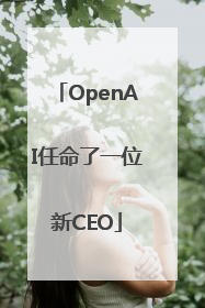 OpenAI任命了一位新CEO